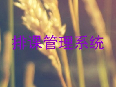 排课管理系统
