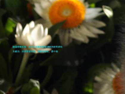 排课管理系统:从手工排课到智能调度的变革路径
关键词:排课管理系统,高校信息化,晋中地