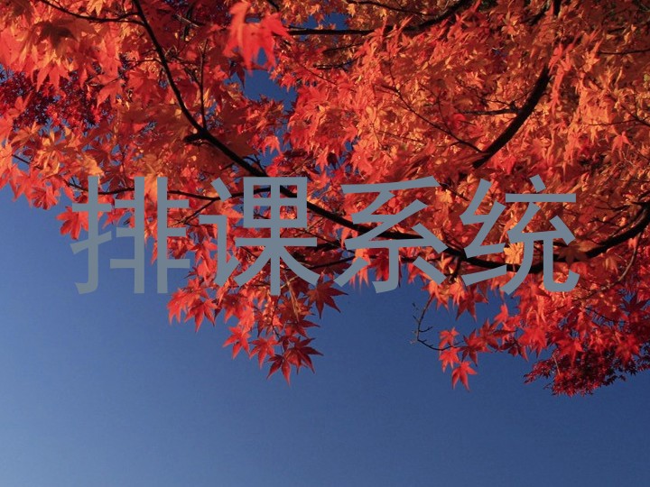排课系统