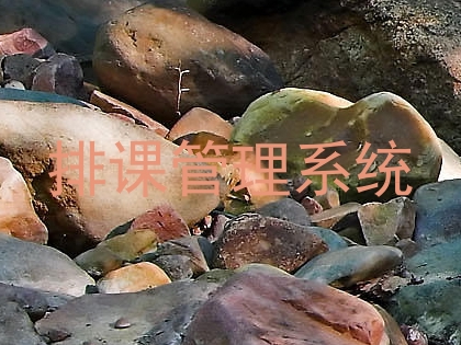排课管理系统