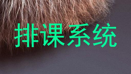 排课系统