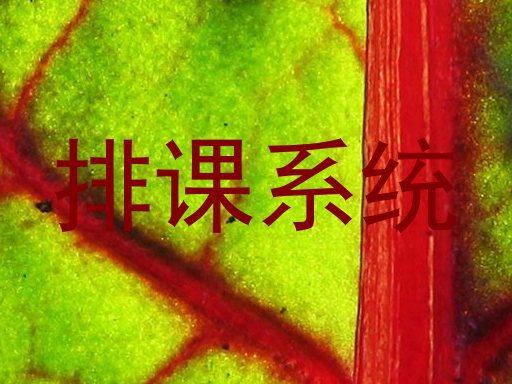 排课系统