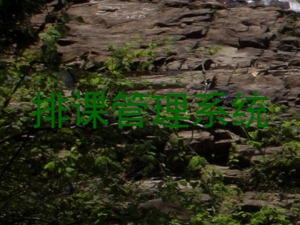 排课管理系统