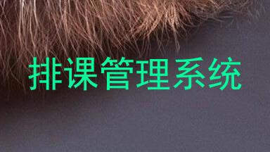 排课管理系统