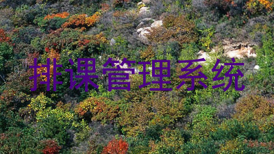 排课管理系统