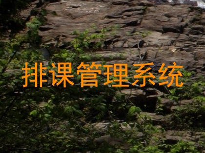 排课管理系统