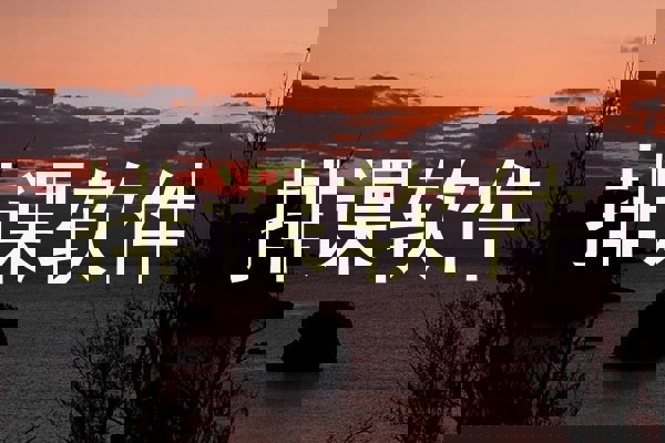 排课软件