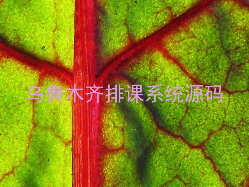 乌鲁木齐排课系统源码