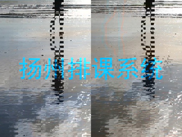 扬州排课系统