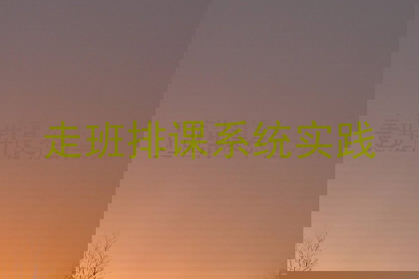 走班排课系统实践