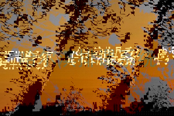 哈尔滨排课系统