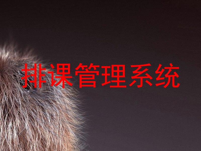 排课管理系统