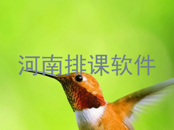 河南排课软件