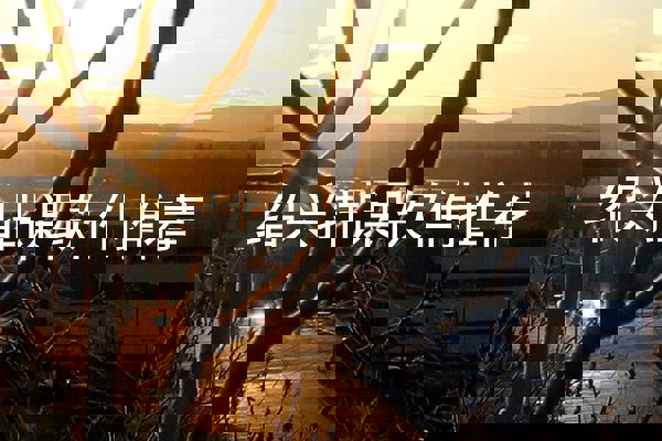 绍兴排课软件推荐