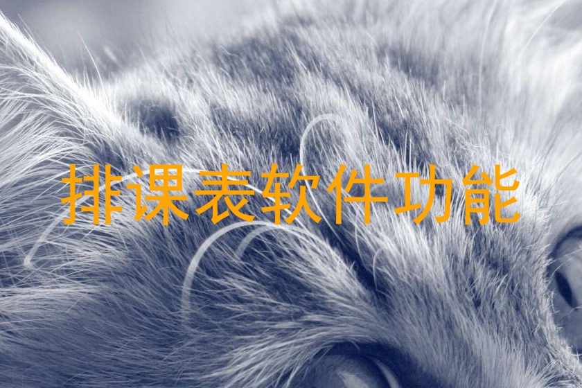 排课表软件功能