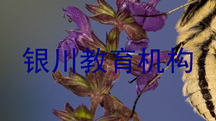 银川教育机构