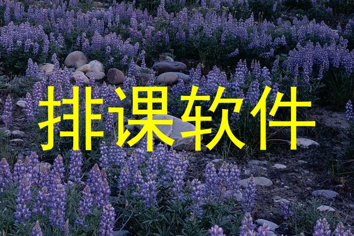 排课软件