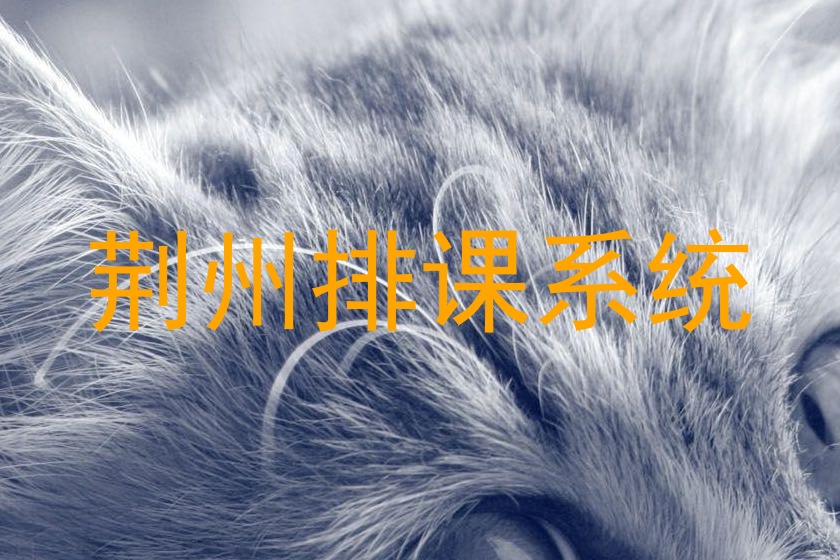 荆州排课系统