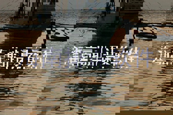 海南排课软件