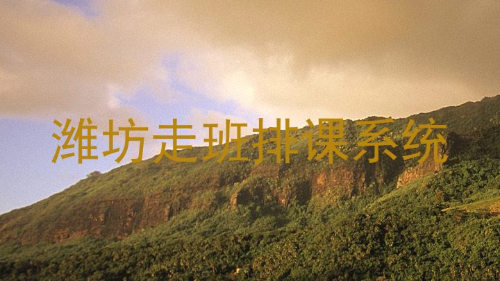 潍坊走班排课系统