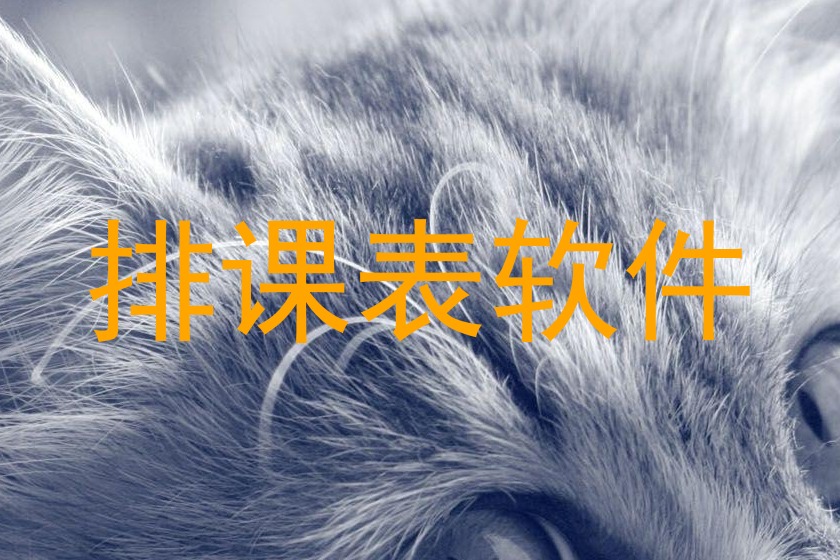 排课表软件