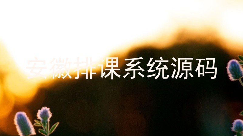 安徽排课系统源码
