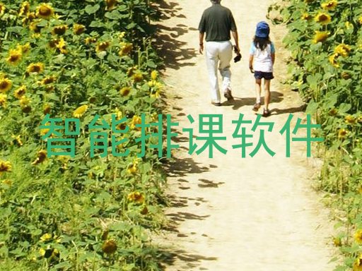 智能排课软件