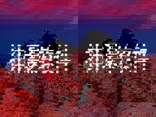 排课软件