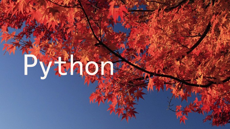 Python