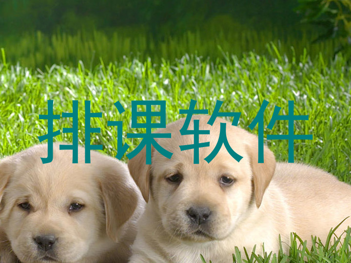 排课软件