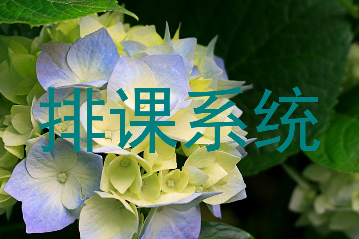 排课系统
