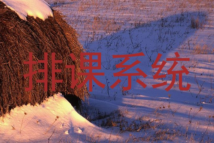 排课系统