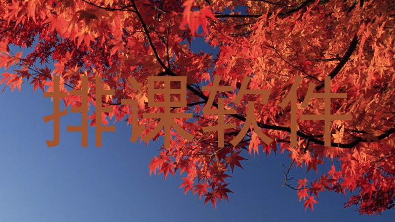 排课软件