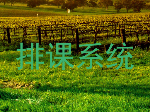 排课系统
