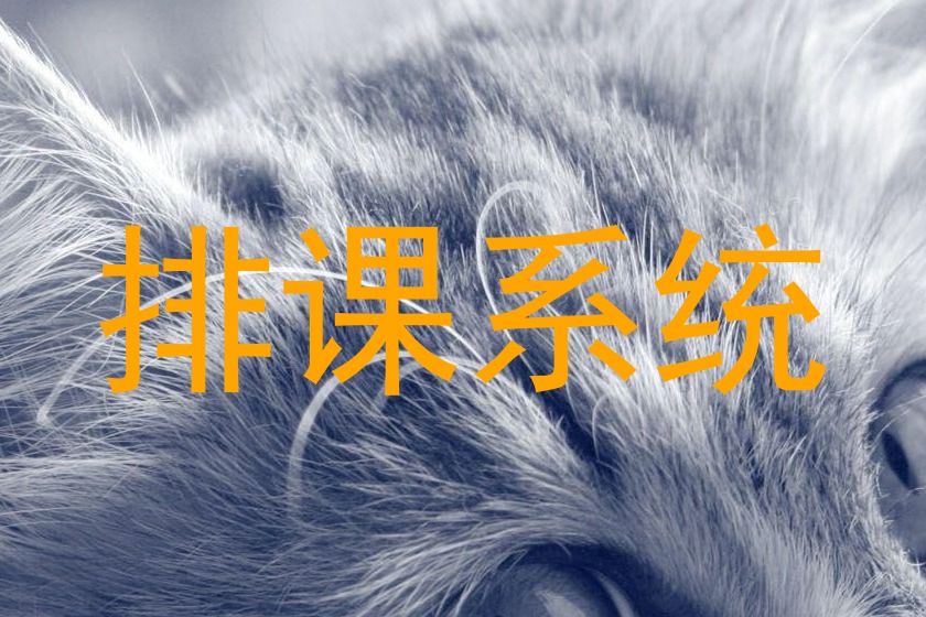 排课系统