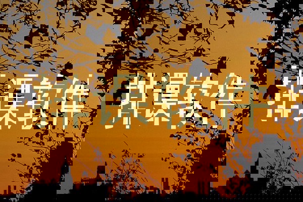 排课软件