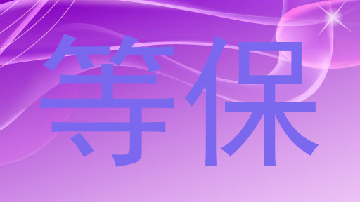 等保