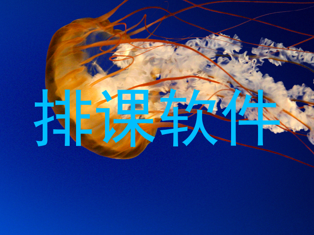 排课软件