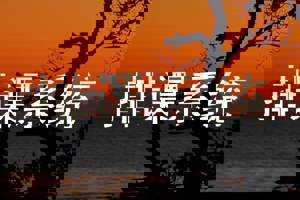 排课系统