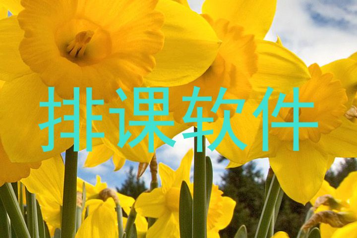 排课软件