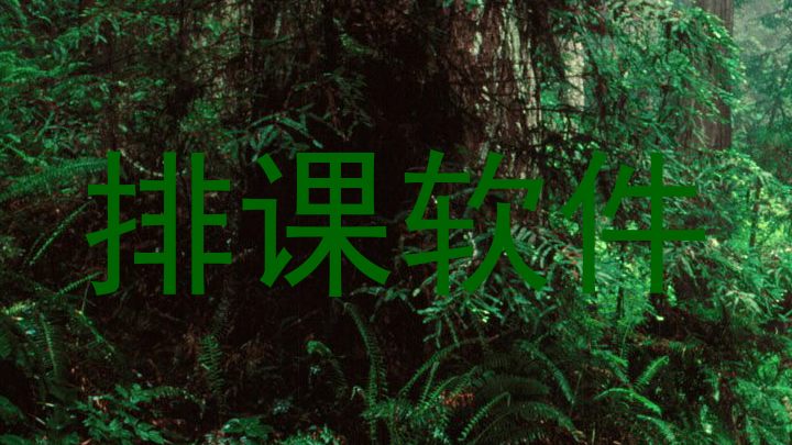 排课软件