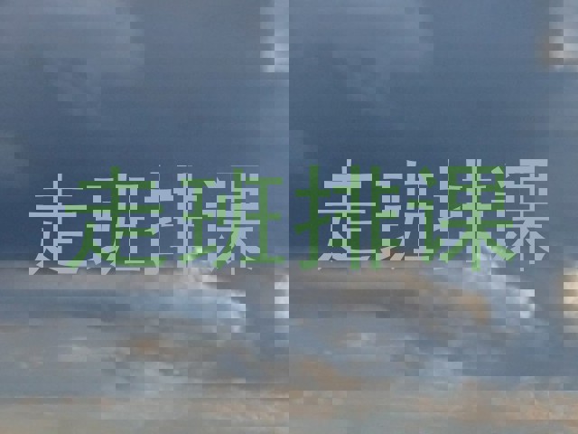 走班排课
