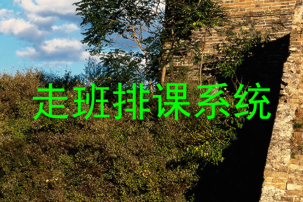 走班排课系统