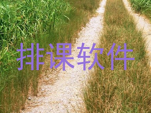 排课软件