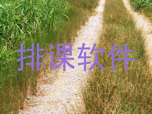 排课软件