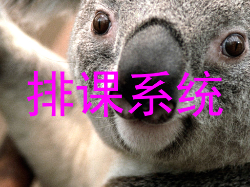 排课系统