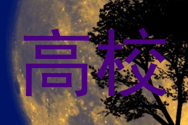 高校