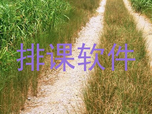 排课软件