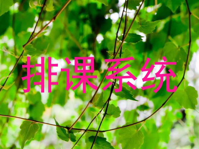 排课系统