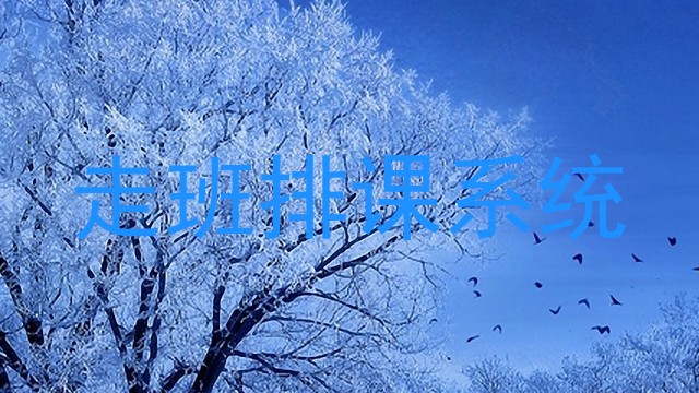 走班排课系统